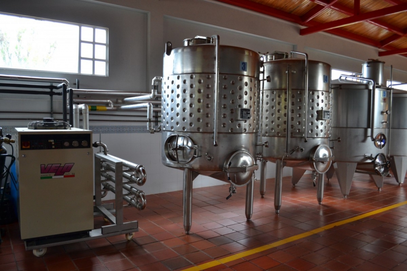 cave-CAP D AIL-min_wine_production_cantine_winery_drink_alcohol_vine_beverage-902036